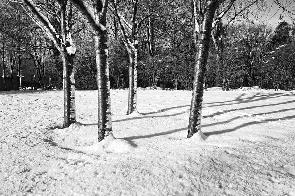 Die idyllische Winterlandschaft lädt zum Training im Freien ein